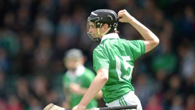 D1B: Limerick beat Laois