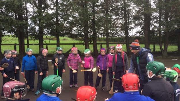 James Ryan pictured taking a hurling coaching session with pupils of Herbertstown NS. 