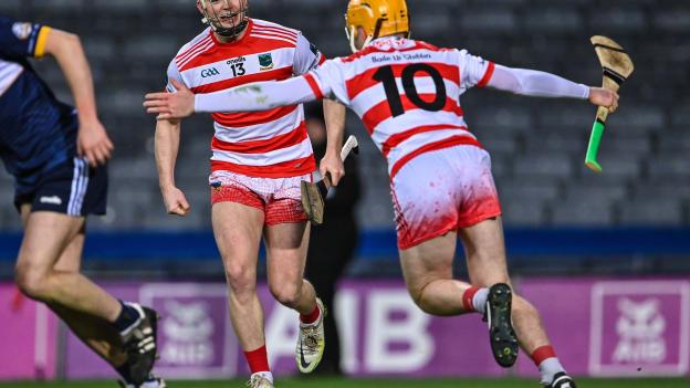 Ballygiblin's Cathail O'Mahony and Darragh Flynn celebrate at Croke Park.