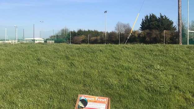 Several signs have been erected at the Mullingar Shamrocks walkway.