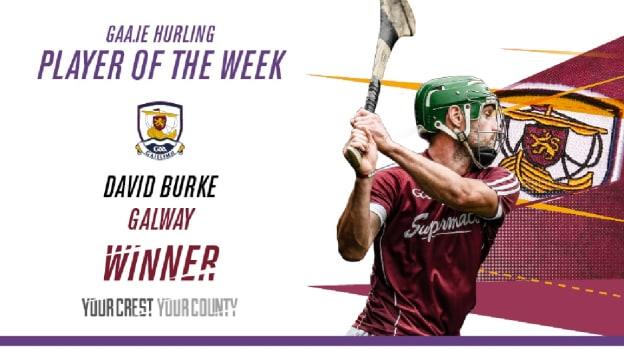 GAA.ie Hurler of the Week David Burke.