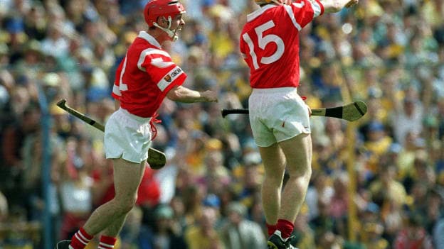 Seanie McGrath and Joe Deane celebrate during the 1999 Munster SHC Final.