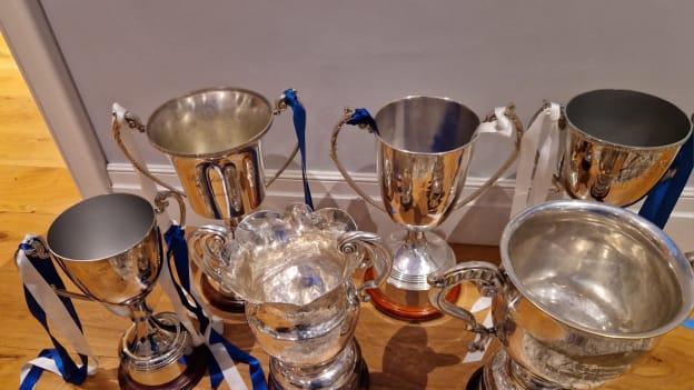 The six cups that Kildalkey hurlers have won so far in 2023. 