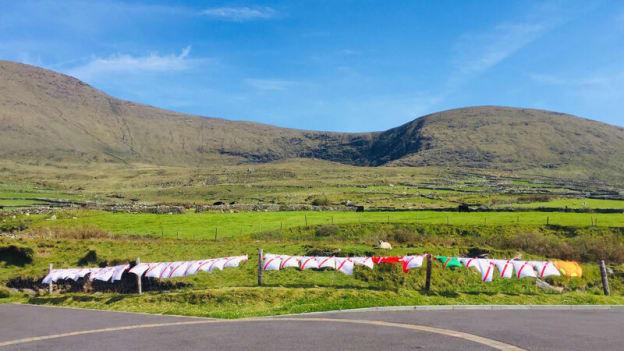 Ní do lucht Chumann Caide na Gaeltachta amháin na dífhibrileoirí ach don phobal go léir