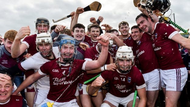 St Martin's won the Wexford SHC title in 2017.