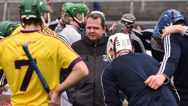 Wexford hurling manager Davy Fitzgerald will be involved in the WELLness week.