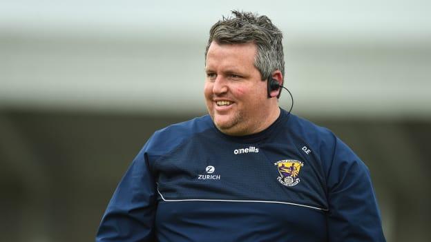 Wexford senior hurling manager Darragh Egan.