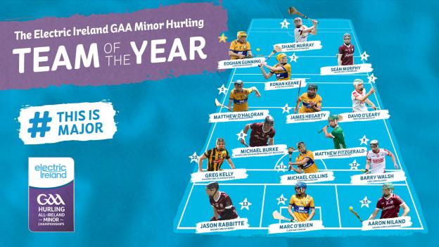 The Electric Ireland GAA Minor Hurling Team of the Year. 