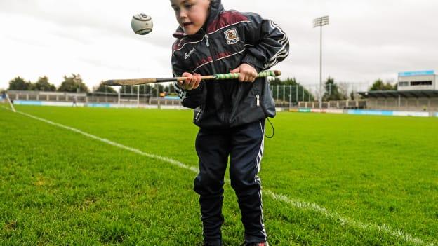 Fionn Kelly