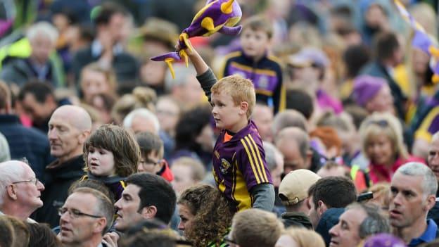 Wexford will hope to give their supporters something to shout about when they play Kilkenny in the final round of the Leinster SHC at Innovate Wexford Park. 