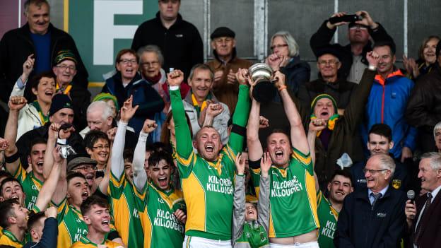 The Healion brothers following the Offaly SHC Final.