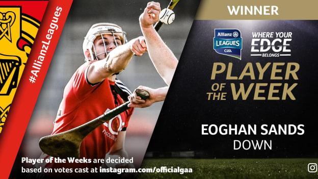 GAA.ie Hurler of the Week Eoghan Sands