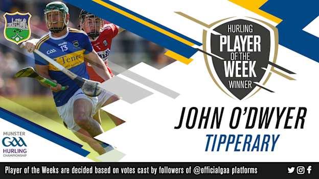 GAA.ie Hurler of the Week John O'Dwyer.