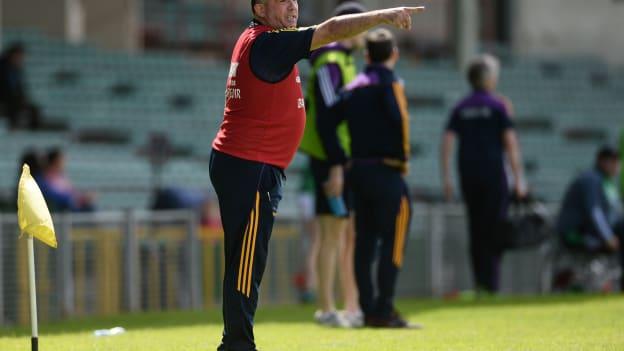 Wexford manager Seamus McEnaney.