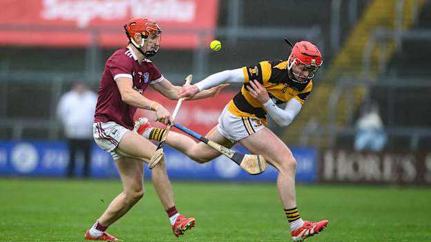 Wexford SHC Final: Martin's win again