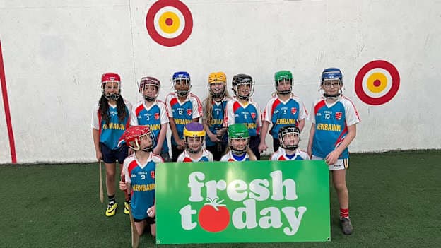 The Freshtoday Wexford GAA Hurling 365 programme sees club coaches visit their local primary schools to deliver coaching sessions and in doing so strengthen club-school links.