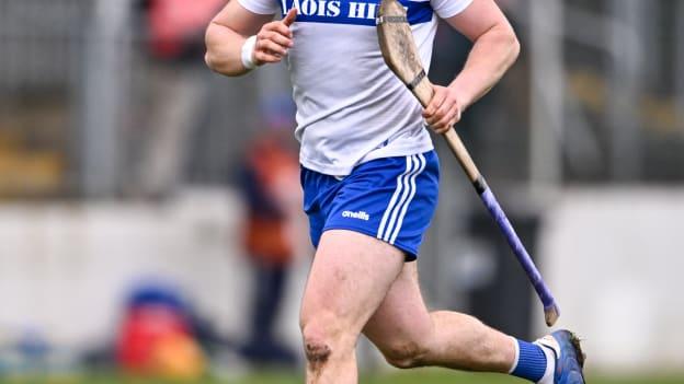 Goalkeeper Enda Rowland remains an influential figure for Laois. Photo by Ben McShane/Sportsfile
