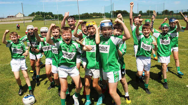Ballybrown NS players celebrate after winning the 2022 Leader Cup. 