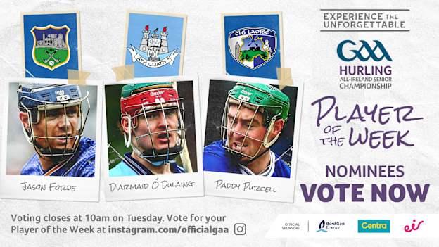 GAA.ie Hurler of the Week nominees