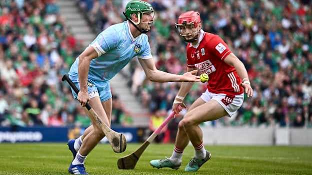 Hurling Review Public Survey