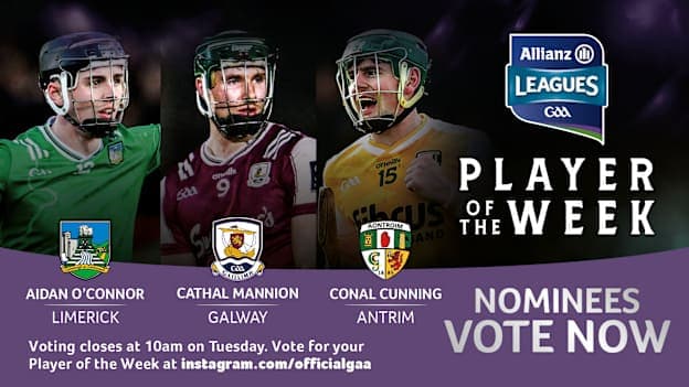 GAA.ie Hurler of the Week nominees