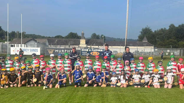 Eight Wicklow clubs embracing Hurling Nua initiative