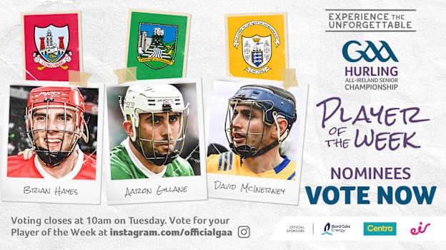 GAA.ie Hurler of the Week nominees.