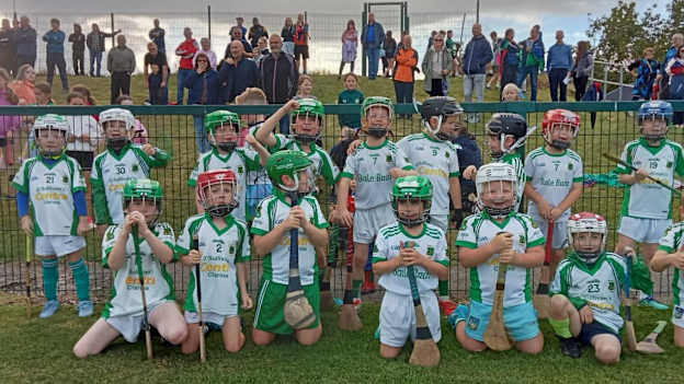 Ballybrown GAA club have a very vibrant underage section. 