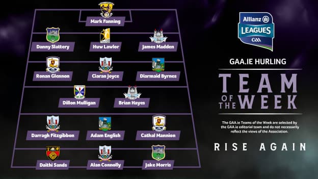 GAA.ie Hurling Team of the Week