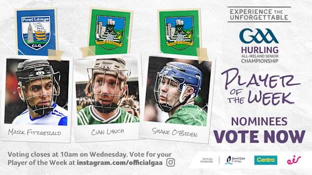 GAA.ie Hurler of the Week nominees