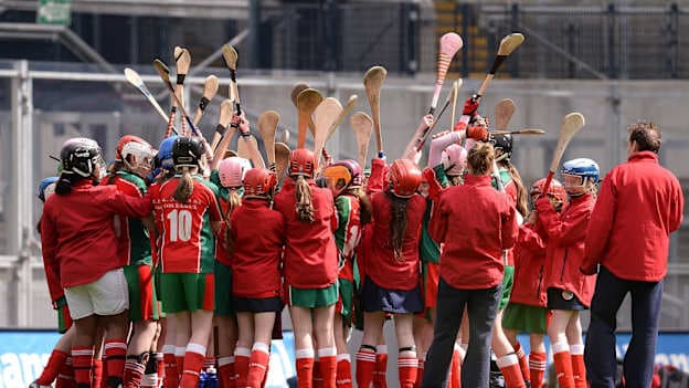 In a first-of-its-kind collaboration, Cumann na mBunscol Náisiúnta, the Gaelic Athletic Association (GAA) and the Gaelic Players Association (GPA) will host the inaugural Intercounty Players Hurling and Camogie Coaching Day, bringing together current senior intercounty stars and aspiring young players for a unique day of learning, inspiration and fun.