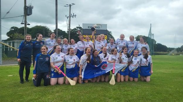 Tralee Parnells celebrate after winning the 2023 John West Féile na nGael Division 5 Camogie title. 