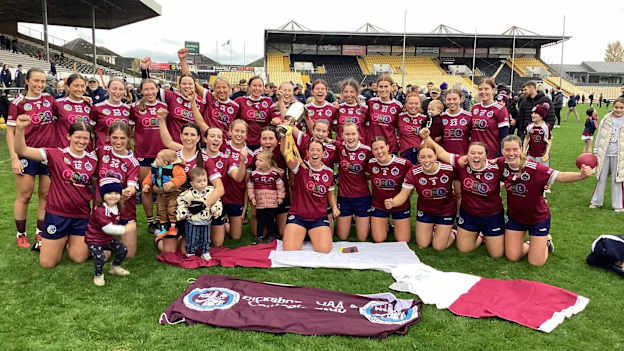 The Dicksboro players celebrate their success in the Kilkenny Senior Camogie Final. 