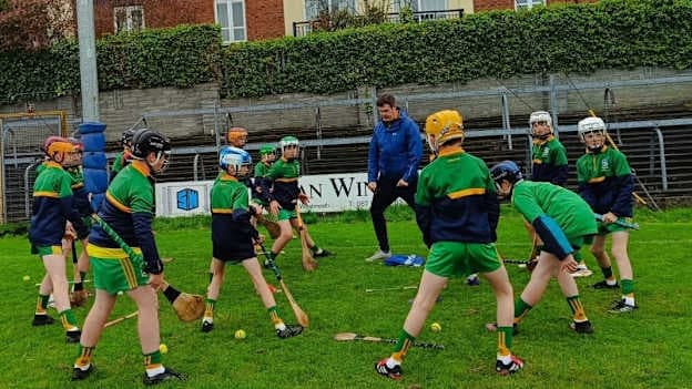Young Castledaly hurlers pictured before a blitz. Photo courtesy of Castledaly GAA.
