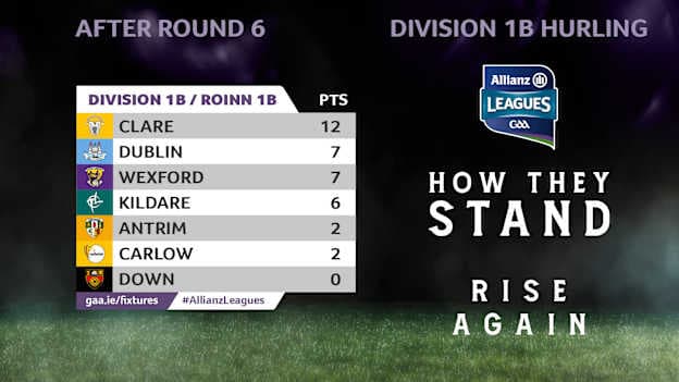 How they currently stand in Division 1B of the Allianz Hurling League. 
