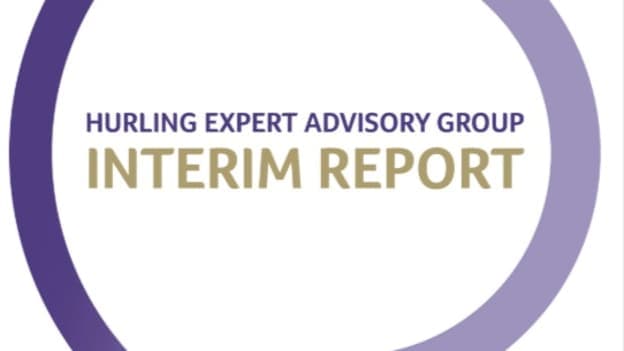 The Hurling Expert Advisory Group Interim Report has been published.
