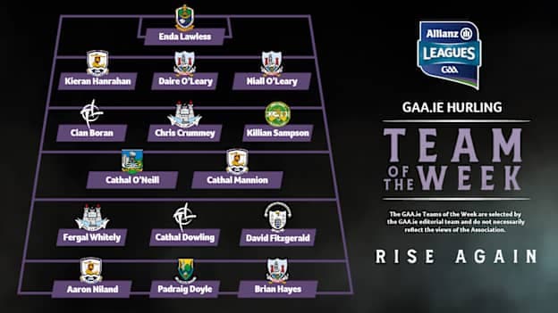 This Week's GAA.ie Hurling Team of the Week.