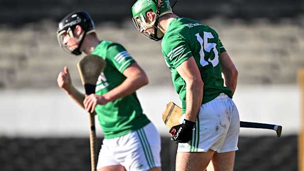 AIB Leinster Club SHC: Shamrocks Ballyhale overcome spirited Clough-Ballacolla