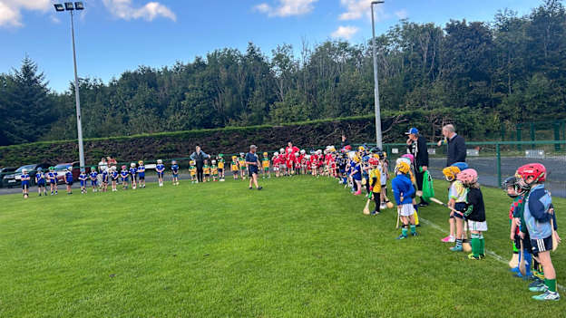 Nursery and U9 players have been involved in the Hurling Nua project in Wicklow.