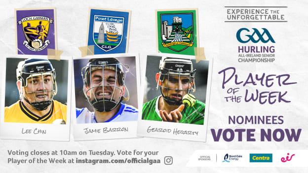 POTW Web Image(Hurling) Apr20+21