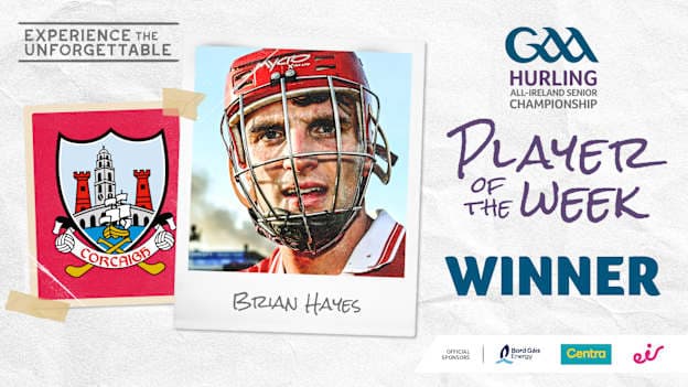 Brian Hayes voted GAA.ie Hurler of the Week