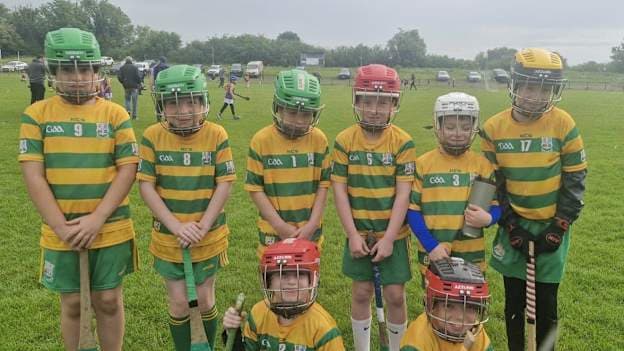 Young Castledaly hurlers pictured before a blitz. Photo courtesy of Castledaly GAA.