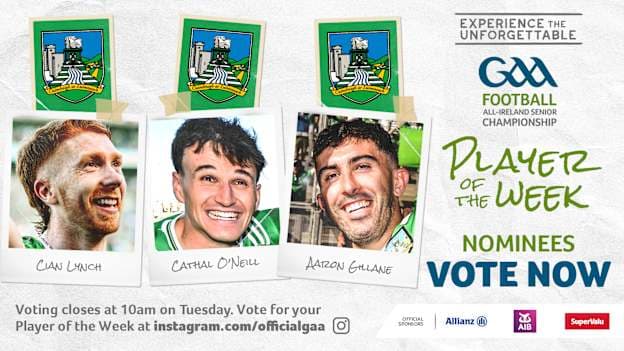 GAA.ie Hurler of the Week nominees