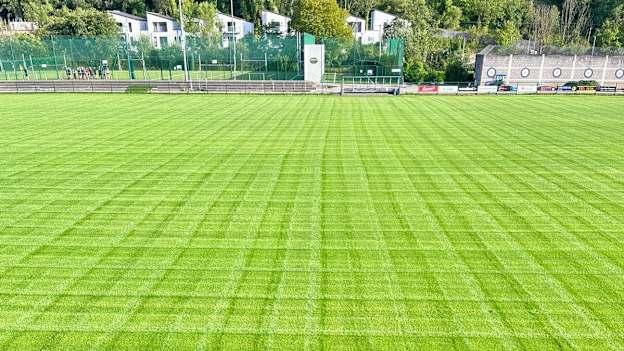 Sarsfields Hurling Club's newly seeded pitch. 