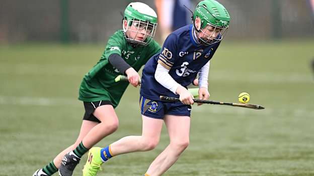 Action from an Antrim Schools Cup hurling match between St. Louis Grammar School and St. Malachy's High School. 