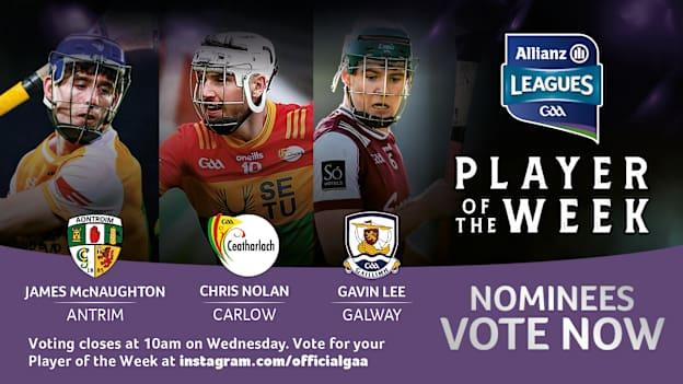 GAA.ie Hurler of the Week nominees.