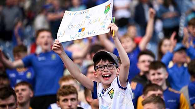 A Wicklow supporter after the Tailteann Cup semi-final match between Offaly and Wicklow at Croke Park in Dublin. Photo by Seb Daly/Sportsfile.