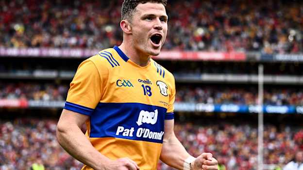 Former Clare senior hurler Paul Flanagan. Photo by Piaras Ó Mídheach/Sportsfile