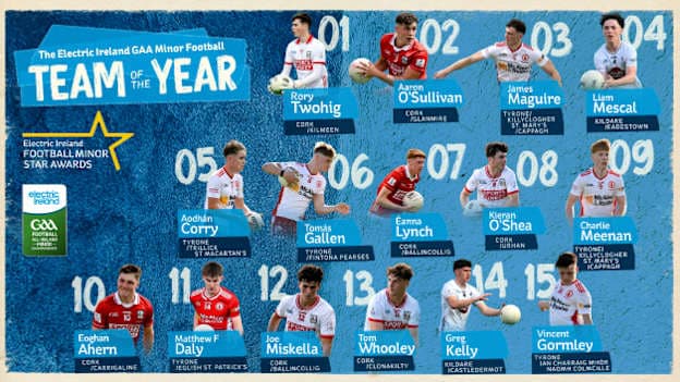 Electric Ireland GAA Minor Star Football Team of the Year