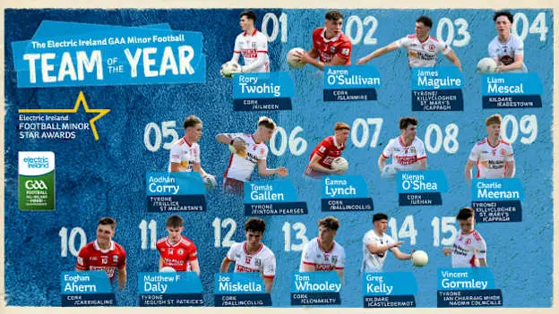 Electric Ireland GAA Minor Star Football Team of the Year
